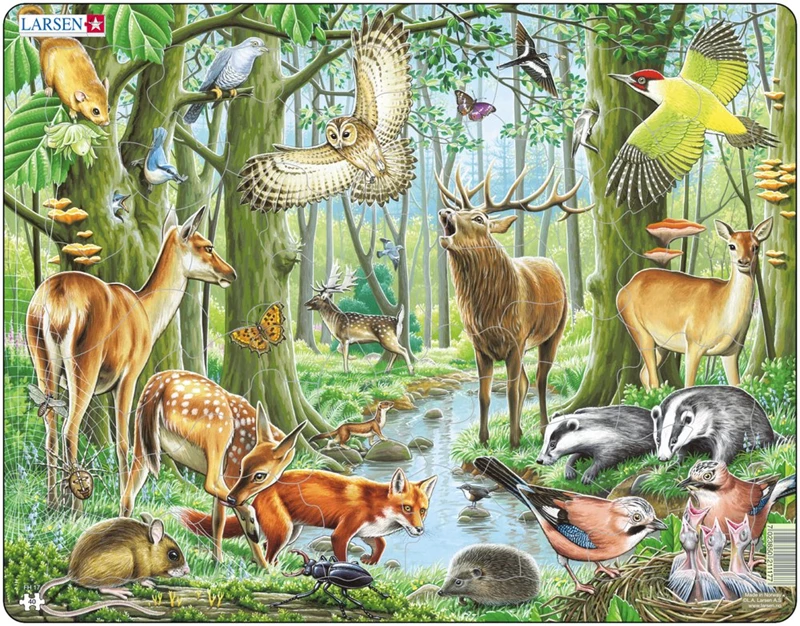 puzzle padure